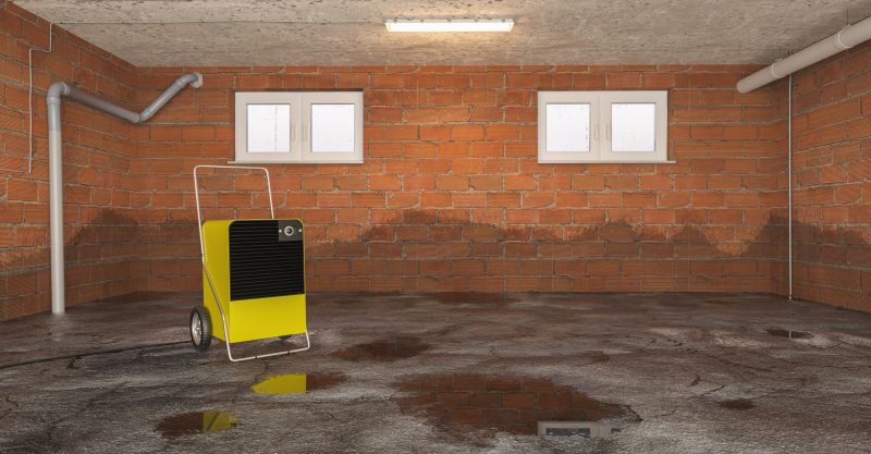 Basement Water Mitigation in Scottsdale, AZ