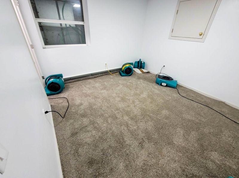 Flood Cleanup Service in Chandler, AZ