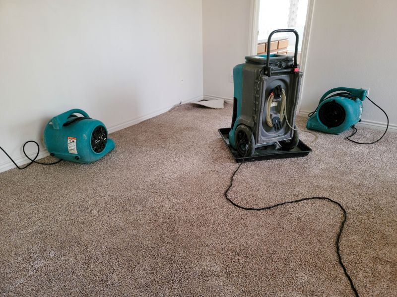 Flood Restoration Service in Scottsdale, AZ