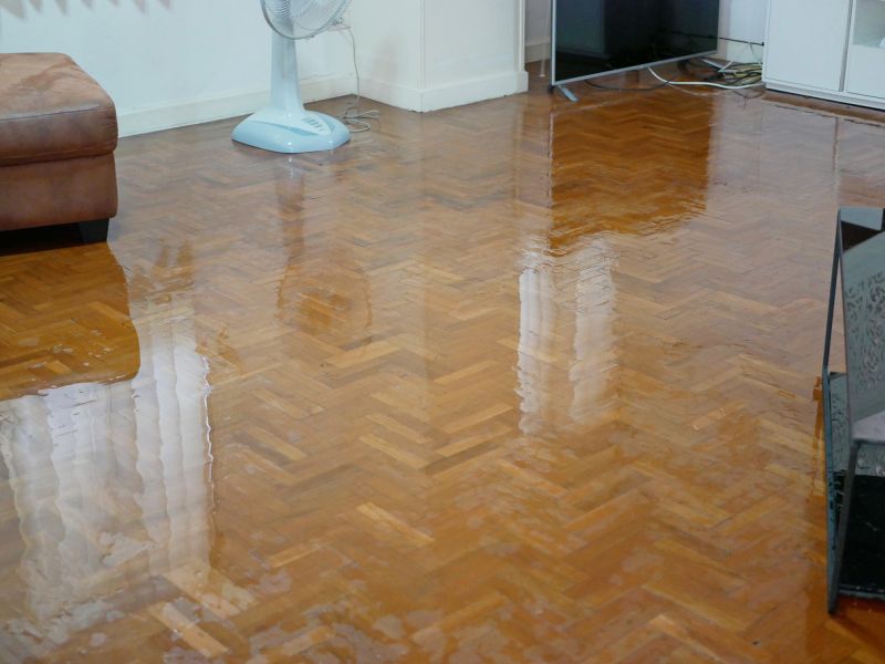 Flooded Floor Repair in Wilmington, NC