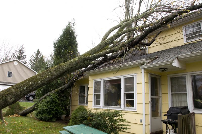 Storm Damage Restoration in Overland Park, KS