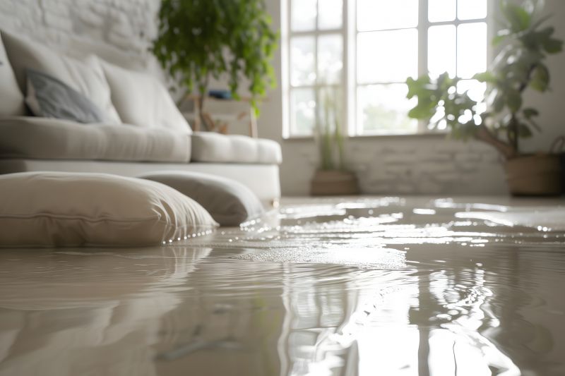 Water Damage Cleanup in Scottsdale, AZ