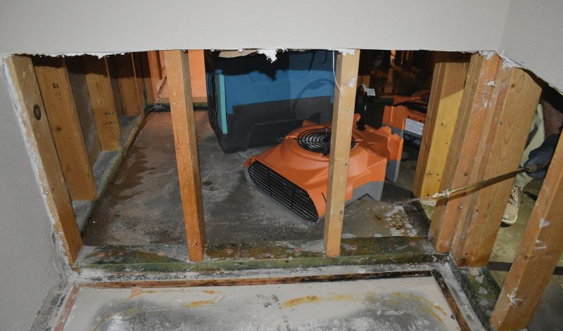 Water Damage Remediation in Chandler, AZ