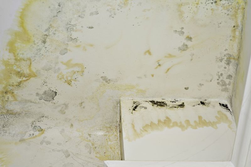Water Damage Repair in Mesa, AZ
