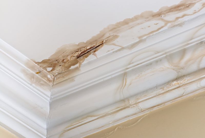 Water Damage Repair in Chandler, AZ