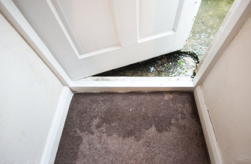 Wet Carpet Restoration in Chandler, AZ