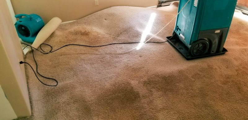 Wet Carpet Restoration in Chandler, AZ