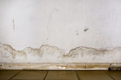 Flood Damage Walls and Floors Repair