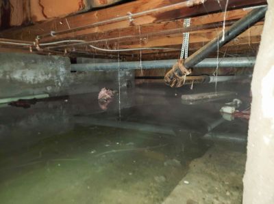 Flood Damage Water Extraction and Removal