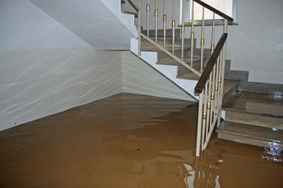 Basement Drying in Phoenix, AZ