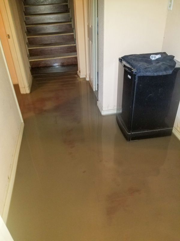 Basement Water Cleanup in Santa Rosa, CA