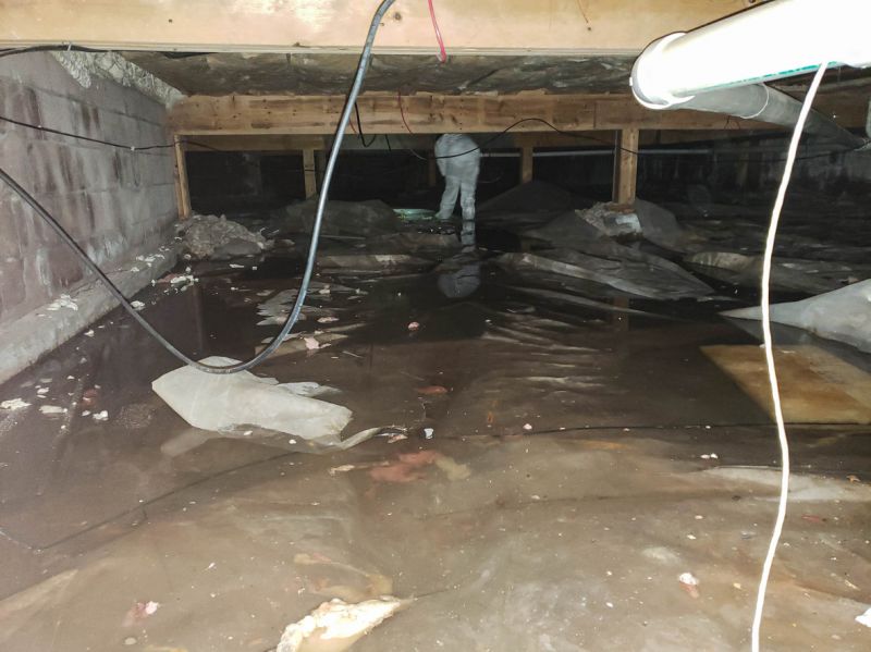 Burst Pipe Cleanup in Phoenix, AZ