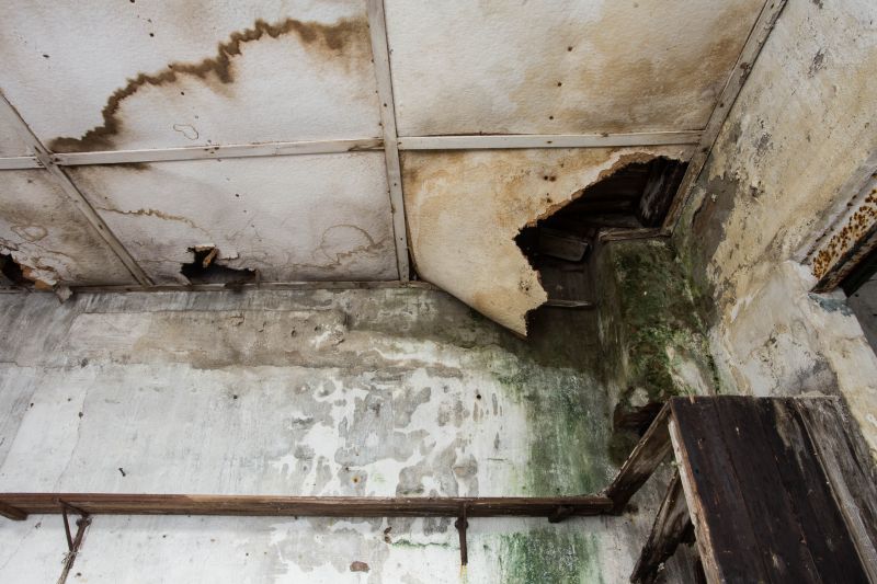 Water Damage Restoration in Wilmington, NC